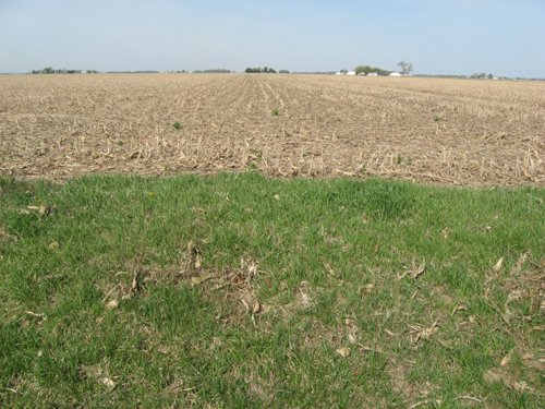 Property photo 16 - 172 Acres Offered in 3 Tracts - Prime Farmland
